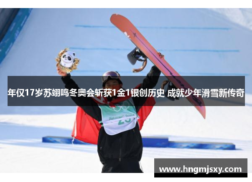 年仅17岁苏翊鸣冬奥会斩获1金1银创历史 成就少年滑雪新传奇