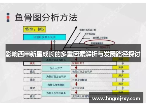 影响西甲新星成长的多重因素解析与发展路径探讨 影响西甲新星成长的多重因素解析与发展路径探讨