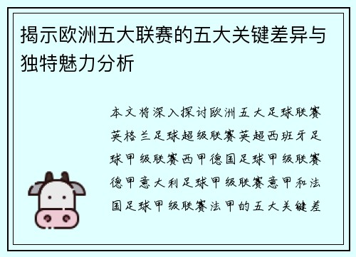 揭示欧洲五大联赛的五大关键差异与独特魅力分析 揭示欧洲五大联赛的五大关键差异与独特魅力分析
